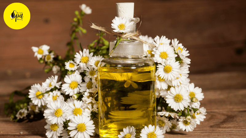 Chamomile Essential Oil