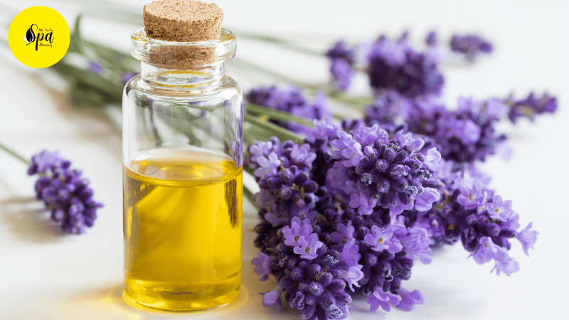 Lavender Essential Oil