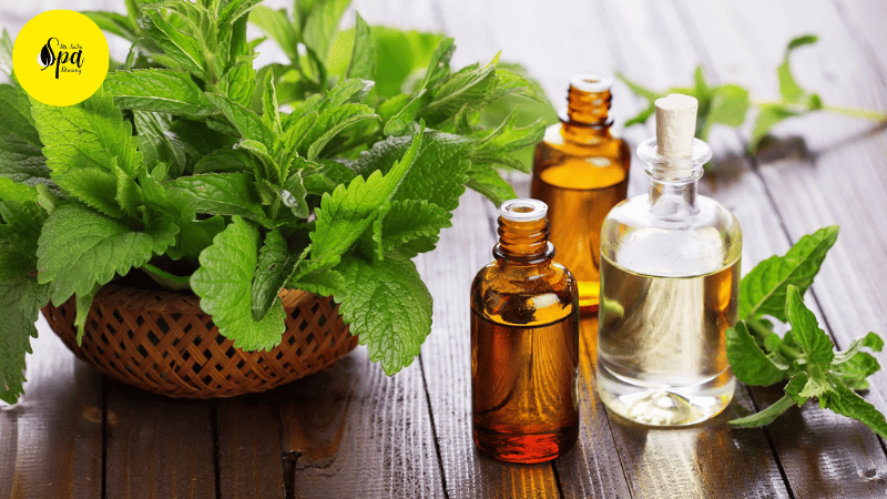 Peppermint Essential Oil