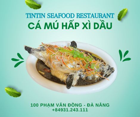 <img src="ca-mu-hap-xi-dau.jpg" alt="Cá mú hấp xì dầu tại TinTin Seafood Restaurant, món ăn ngon với cá mú tươi được hấp thấm đẫm xì dầu đậm đà, ăn kèm rau sống và bánh tráng, tạo hương vị đậm đà đặc biệt.">